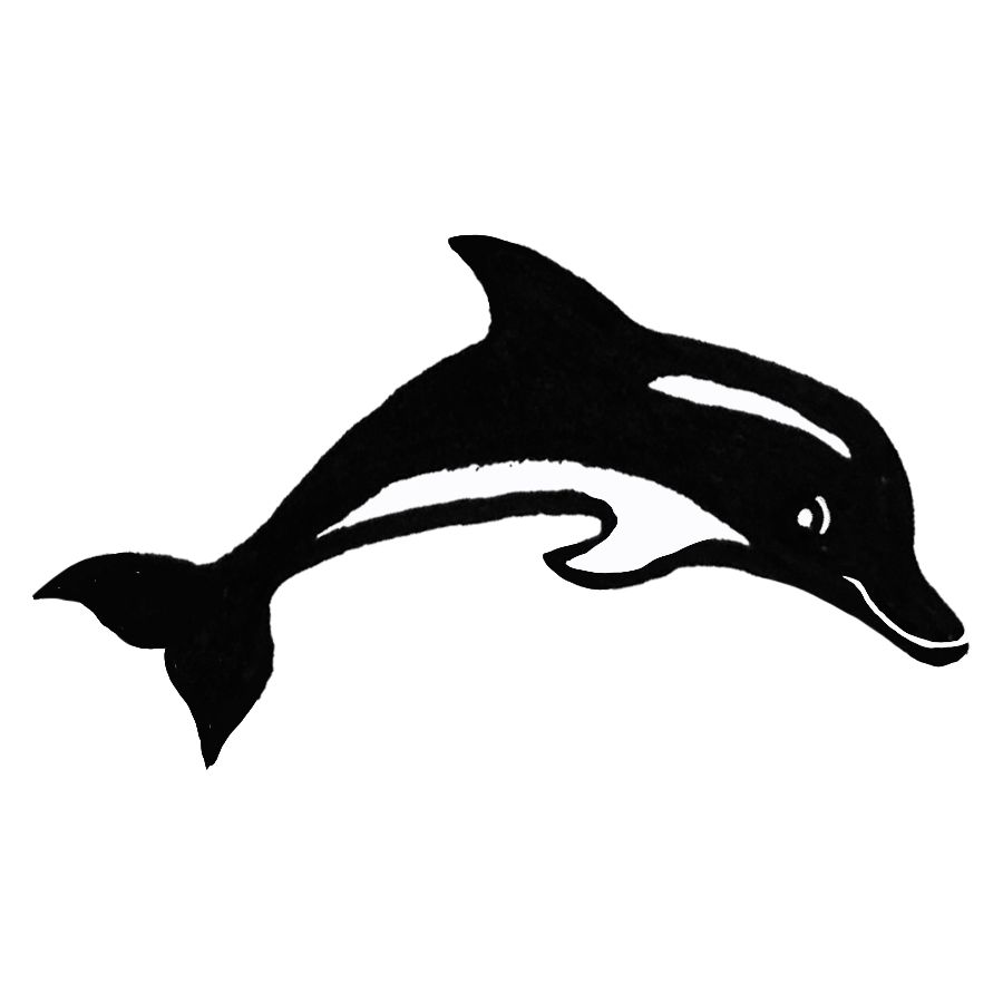 dolphin