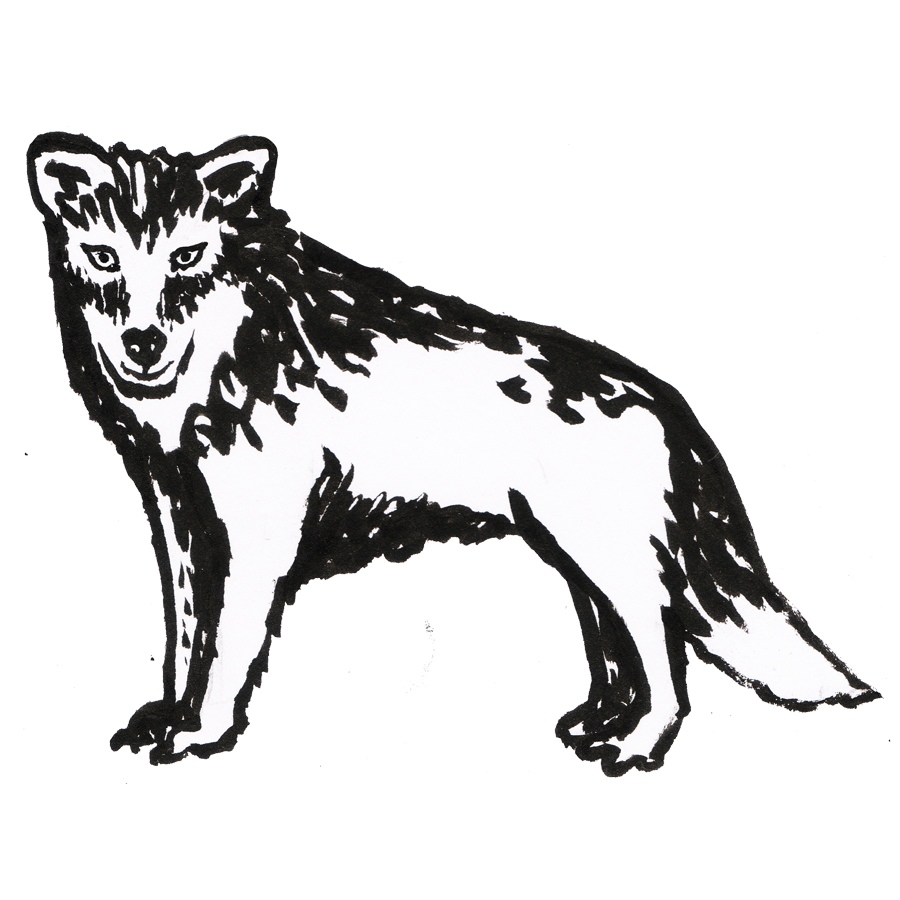 Wolves